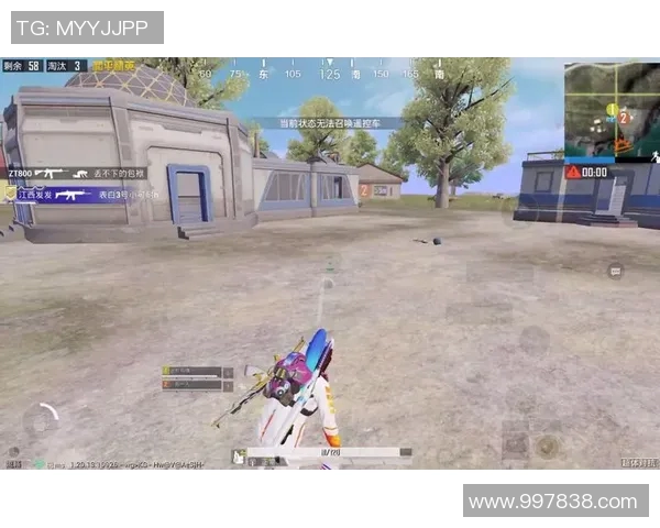 和平精英巨献：深入解析BLG团队的技术创新与游戏策略