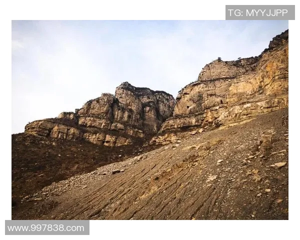 深度对话：周芳在英雄联盟中的成长与挑战之旅